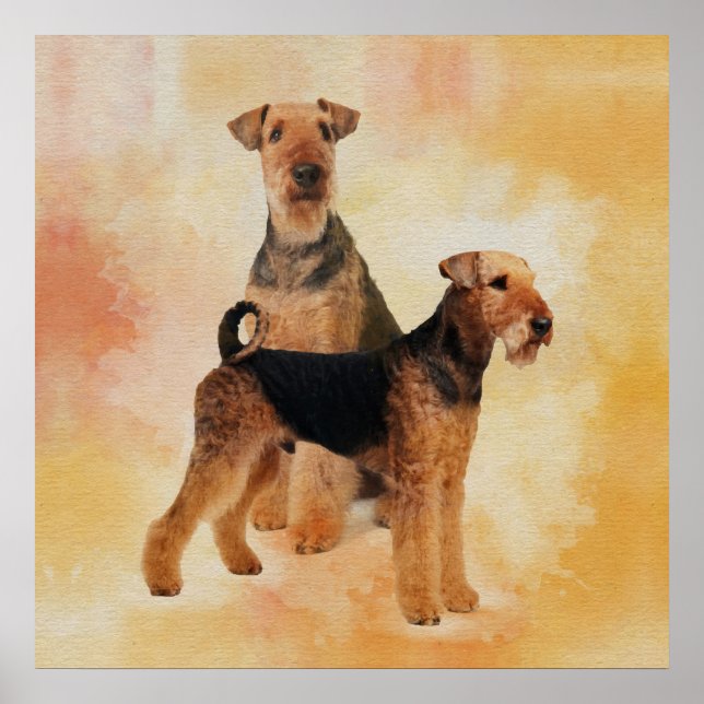 Airedale Terrier Poster (Vorne)