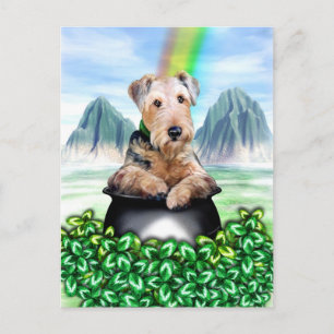 Airedale Terrier Pot of Gold Postcard Postkarte