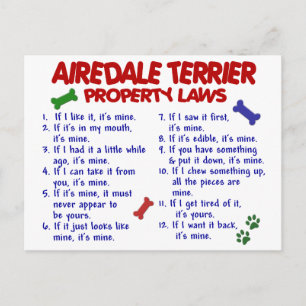 AIREDALE TERRIER Property Laws 2 Postkarte