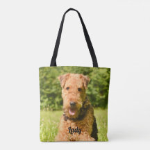 Airedale Terrier Puppy Dog