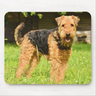 Airedale Terrier Puppy Dog Mousepad