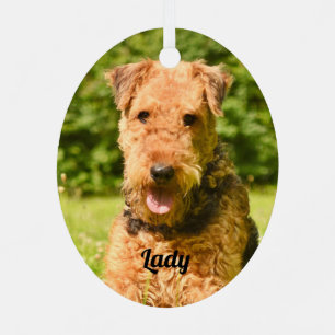 Airedale Terrier Puppy Dog Ornament Aus Metall