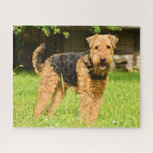 Airedale Terrier Puppy Dog Puzzle (Horizontal)