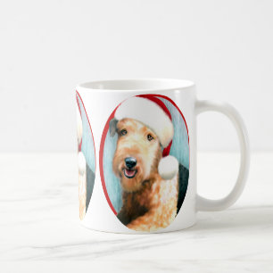 Airedale Terrier Santa Maria degli Angeli Tasse