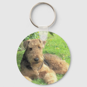 Airedale-Terrier-Schlüsselanhänger Schlüsselanhänger