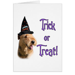 Airedale Terrier Trick