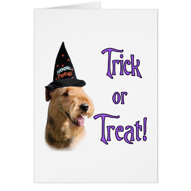 Airedale Terrier Trick (Vorne)