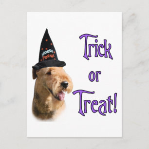 Airedale Terrier Trick Postkarte