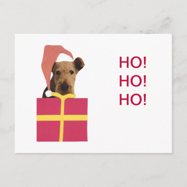 Airedale-Terrier-Weihnachtsmannmütze-Geschenkboxen Feiertagspostkarte (Vorderseite)