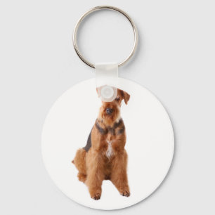 Airedale Terrier Welpen Hund Budget Schlüsselanhän Schlüsselanhänger