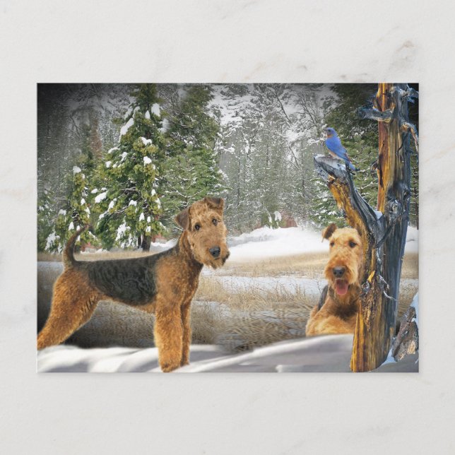 Airedale Terrier Wintertage Geschenke Postkarte (Vorderseite)