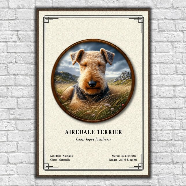 Airedale Terrier Zoologie-Serie Poster (Von Creator hochgeladen)