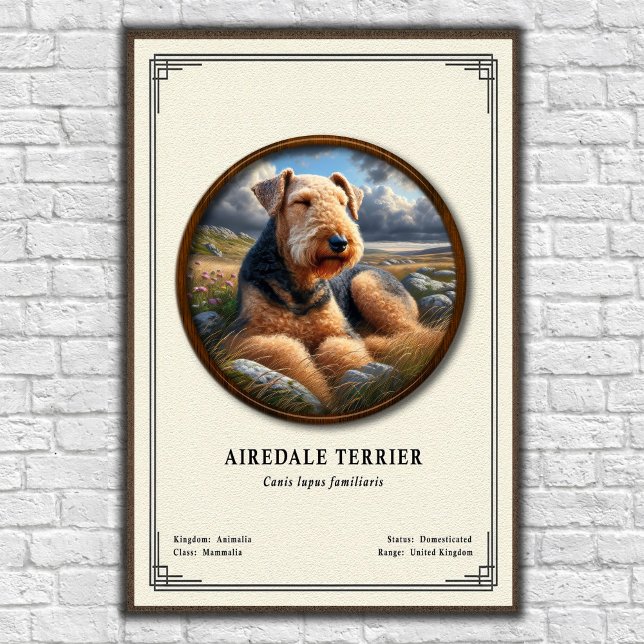 Airedale Terrier Zoologie-Serie Poster (Von Creator hochgeladen)