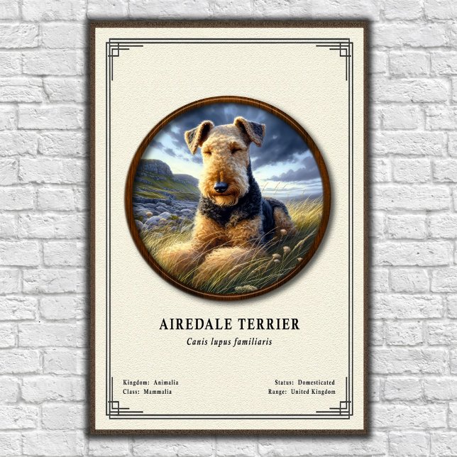 Airedale Terrier Zoologie-Serie Poster (Von Creator hochgeladen)