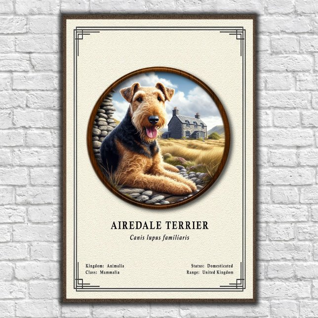 Airedale Terrier Zoologie-Serie Poster (Von Creator hochgeladen)