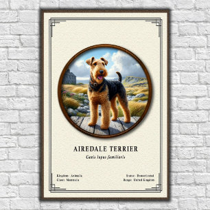 Airedale Terrier Zoologie-Serie Poster