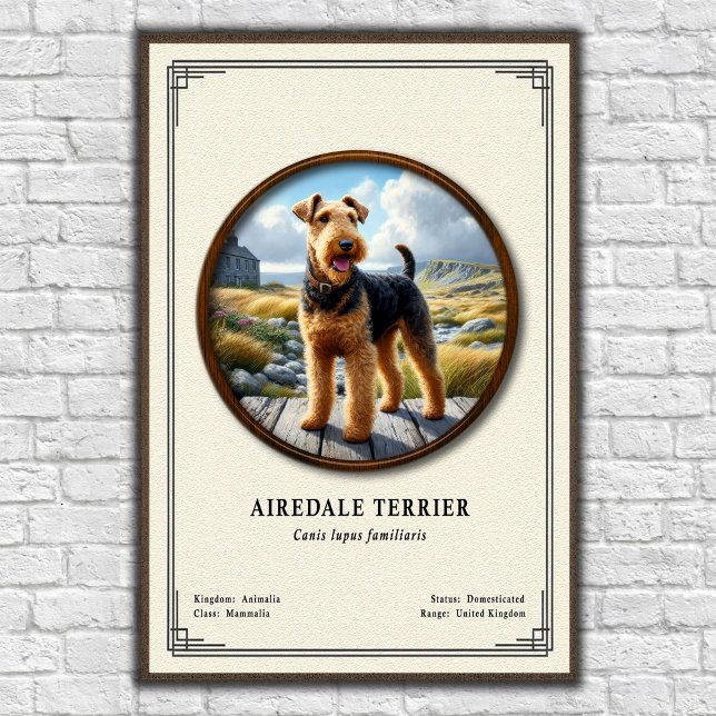 Airedale Terrier Zoologie-Serie Poster (Von Creator hochgeladen)