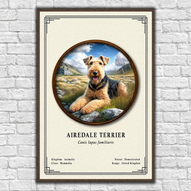 Airedale Terrier Zoologie-Serie Poster (Von Creator hochgeladen)