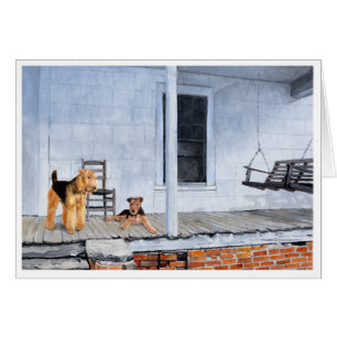 Airedales auf der Veranda