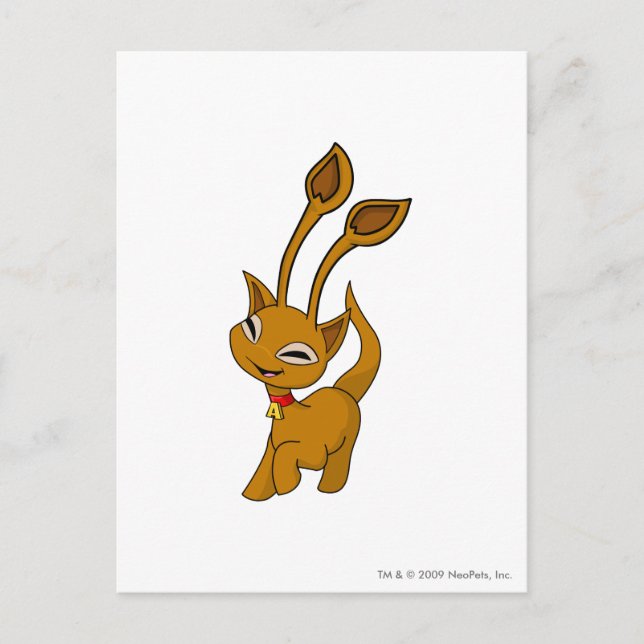 Aisha Brown Postkarte (Vorderseite)