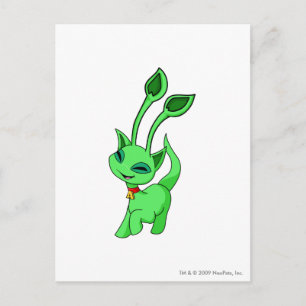 Aisha Green Postkarte
