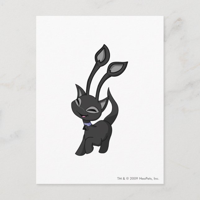 Aisha Shadow Postkarte (Vorderseite)