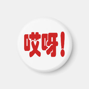 Aiya! 哎 呀! MACH! Chinesische Sprache Hanzi Magnet