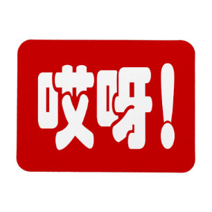 Aiya! 哎 呀! MACH! Chinesische Sprache Hanzi Magnet