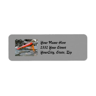 AJS Saltwater Lure Popper Firebird-Adressetikett