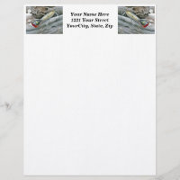 AJS Saltwater Lure Popper Mullet Letterhead