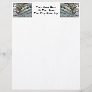 AJS Saltwater Lure Popper Mullet Letterhead Briefkopf