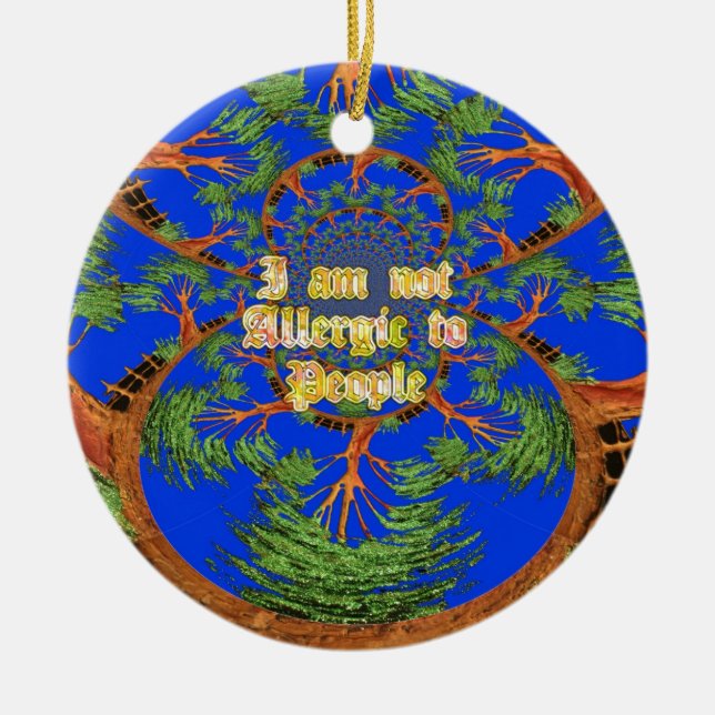 Akacia Alchemy: Ich bin nicht allergisch gegenüber Keramikornament (Vorne)