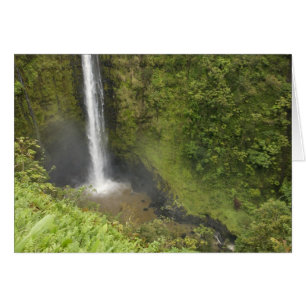 Akaka-Fälle, Hamakua-Küste, Insel Hawaii,