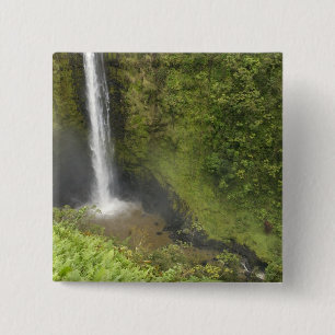 Akaka-Fälle, Hamakua-Küste, Insel Hawaii, Button