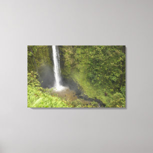 Akaka-Fälle, Hamakua-Küste, Insel Hawaii, Leinwanddruck