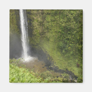 Akaka-Fälle, Hamakua-Küste, Insel Hawaii, Magnet