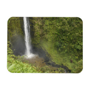 Akaka-Fälle, Hamakua-Küste, Insel Hawaii, Magnet
