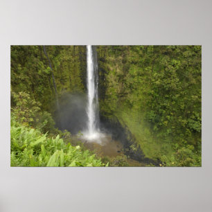 Akaka-Fälle, Hamakua-Küste, Insel Hawaii, Poster