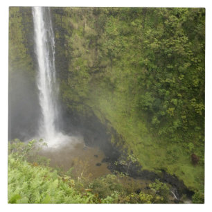 Akaka Falls, Hamakua Coast, Insel Hawaii, Fliese
