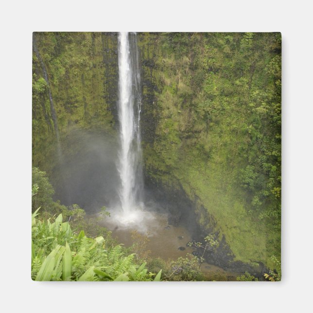 Akaka Falls, Hamakua Coast, Insel Hawaii, Magnet (Vorne)
