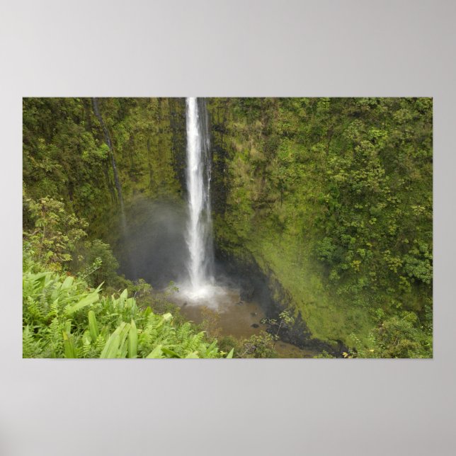 Akaka Falls, Hamakua Coast, Insel Hawaii, Poster (Vorne)