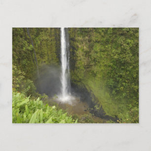 Akaka Falls, Hamakua Coast, Insel Hawaii, Postkarte