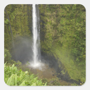 Akaka Falls, Hamakua Coast, Insel Hawaii, Quadratischer Aufkleber