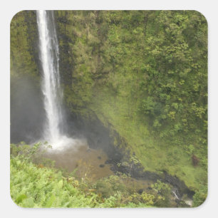 Akaka Falls, Hamakua Coast, Insel Hawaii, Quadratischer Aufkleber