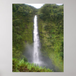 Akaka Falls Hilo, Hawaii Poster