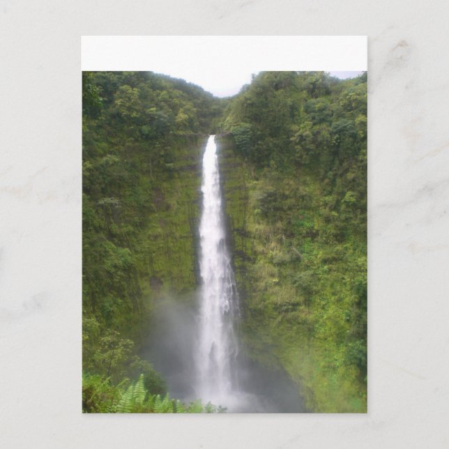 Akaka Falls Hilo, Hawaii Postkarte (Vorderseite)