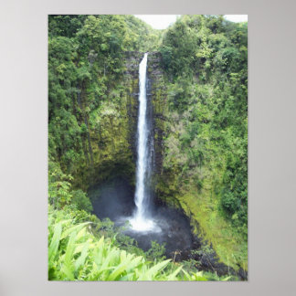 Akaka Falls Poster