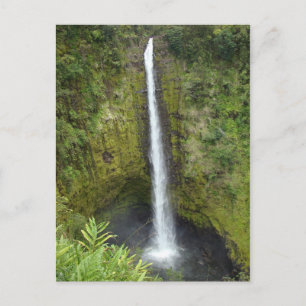 Akaka Falls Postkarte