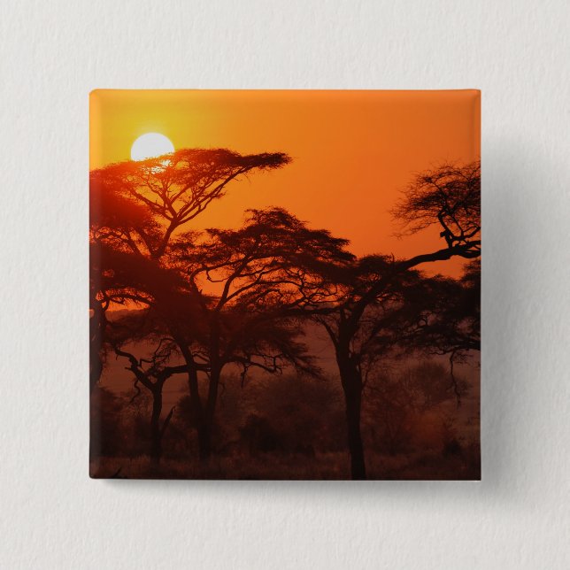 Akazienwald bei Sonnenuntergang silhouettiert, Tar Button (Vorderseite)