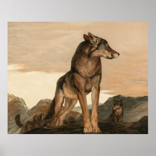 Akela der einsame Wolf von Maurice und Edward Detm Poster